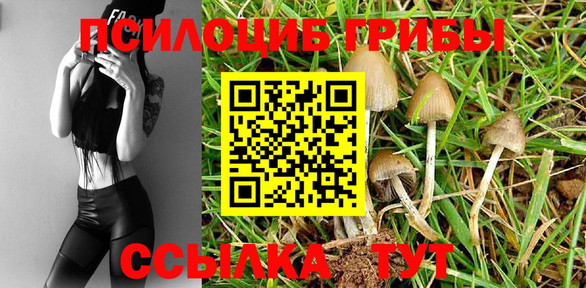 Псилоцибиновые грибы мухоморы Гатчина