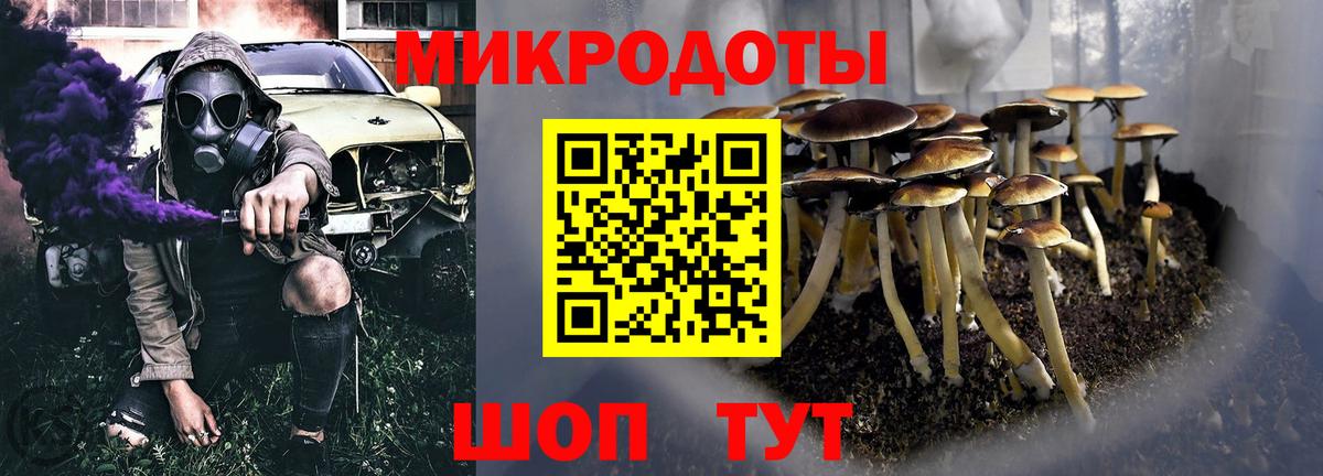 цена   Псилоцибиновые грибы мухоморы  Вход с VPN  Гатчина 