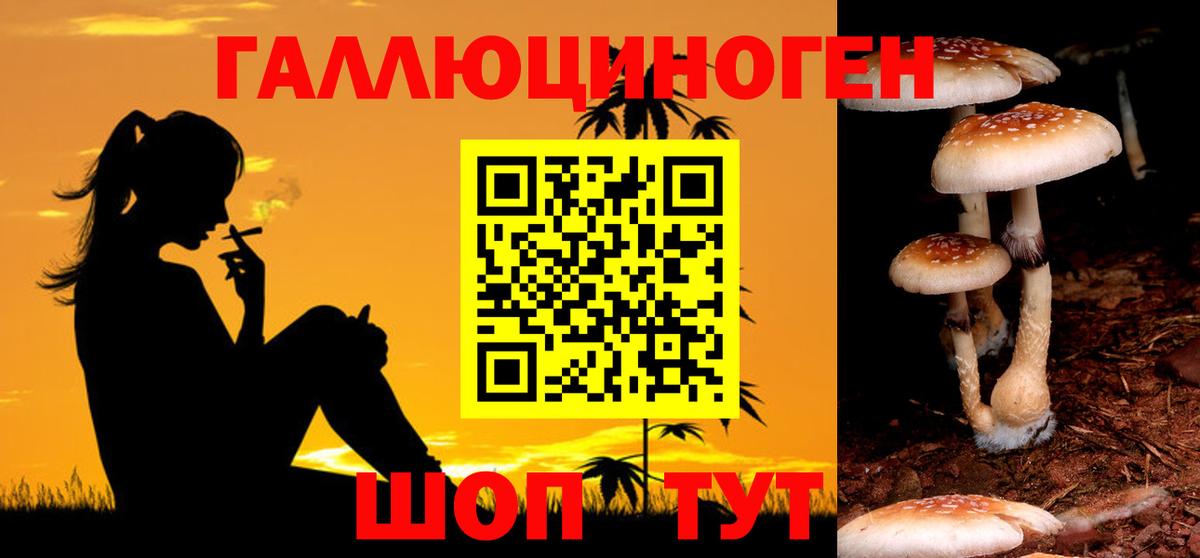 Гатчина  КОКАИН  Конопля  МЕФ кристаллы  АМФЕТАМИН кристаллы  Вход с VPN  Меф 